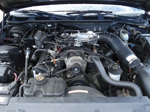 2000 Ford Crown Victoria - The engine bay of a 2000 Ford Crown Victoria is visible, with the V8 engine and its components clearly displayed.