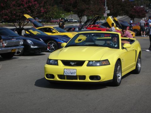 1998 Ford Crown Victoria - A yellow convertible Mustang is parked in a lot with several other sports cars, including a blue Porsche and a yellow Corvette.