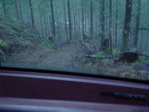 1989 Ford Bronco - The downhill part