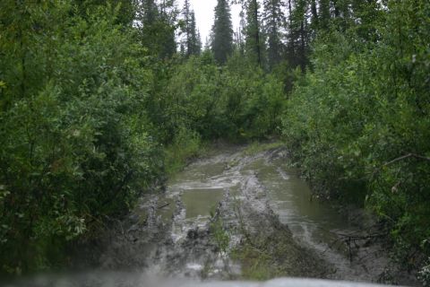 2003 Jeep TJ - A vehicle navigates a very muddy and overgrown path through a dense forest.