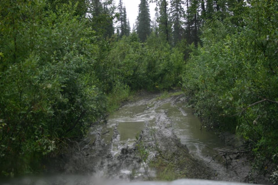 muddy track through trees, looks like a rough trail