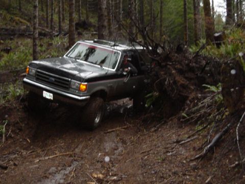 1989 Ford Bronco - Driving around the root