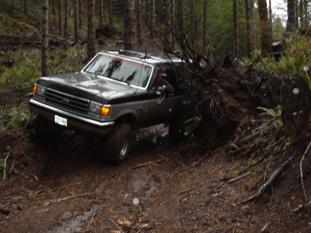 Driving around the root