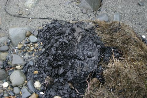 2003 Jeep TJ - A pile of black material and dried grass sits on a gravelly beach with rocks.