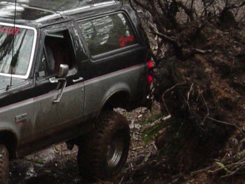 1989 Ford Bronco - A little close to the root