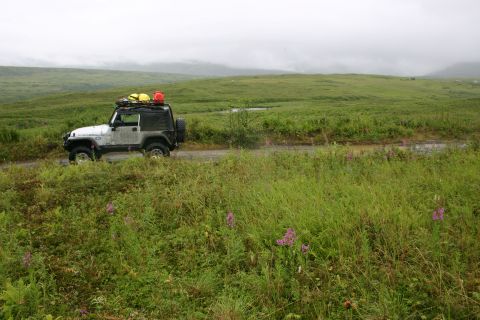 2003 Jeep TJ - 2003 Jeep TJ driving on a muddy road through a vast, green, open field with rolling hills in the background.