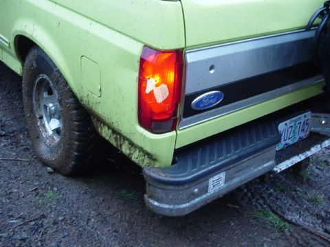 1989 Ford Bronco - Doug in the "lemon pledge" caught the root