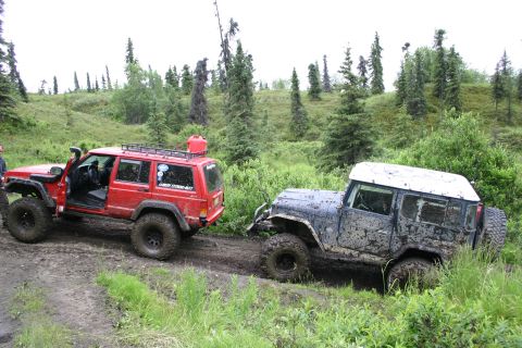 2003 Jeep TJ - Two Jeeps navigate a muddy trail through a dense forest.