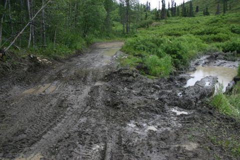 2003 Jeep TJ - A treacherous muddy road winds through a wooded and overgrown landscape, marked by deep tire ruts and standing water.
