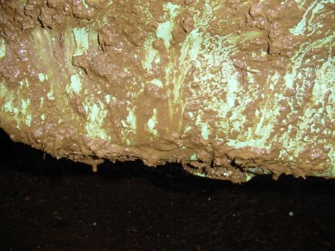1989 Ford Bronco - Little dent in the lower front frnder on Patricks forest service bronco