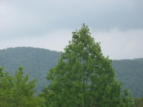 1995 Ford C-350 (Centurion Conversions) - A landscape scene trees and hills under a cloudy sky.