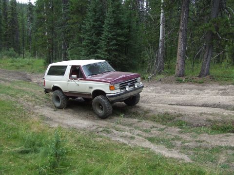 1990 Ford Bronco - A two-tone Ford Bronco drives on a dirt track surrounded by trees.