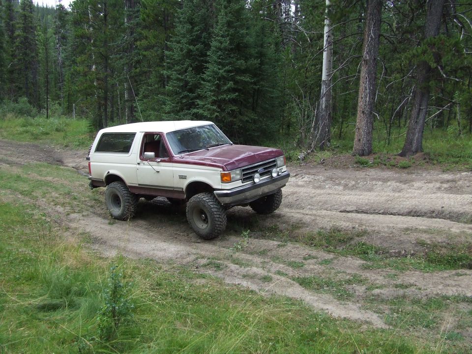 Maroon and white Ford Bronco on a dirt road in a forest