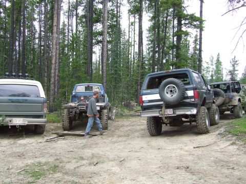 1990 Ford Bronco - A dark green 1990 Ford Bronco is parked in a forest clearing alongside other off-road vehicles.