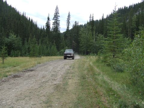 1990 Ford Bronco - A 1990 Ford Bronco kicks up dust as it travels down a remote forest road.