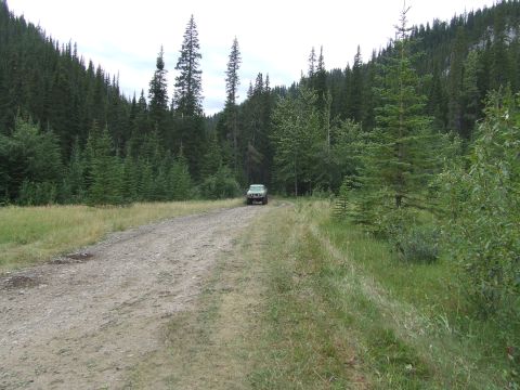 1990 Ford Bronco - An SUV travels down a dirt road surrounded by dense pine forest and tall hills.