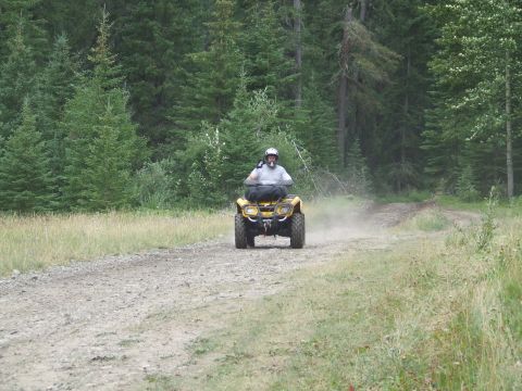 1990 Ford Bronco - A rider on a yellow ATV kicks up dust on a gravel road surrounded by pine trees.