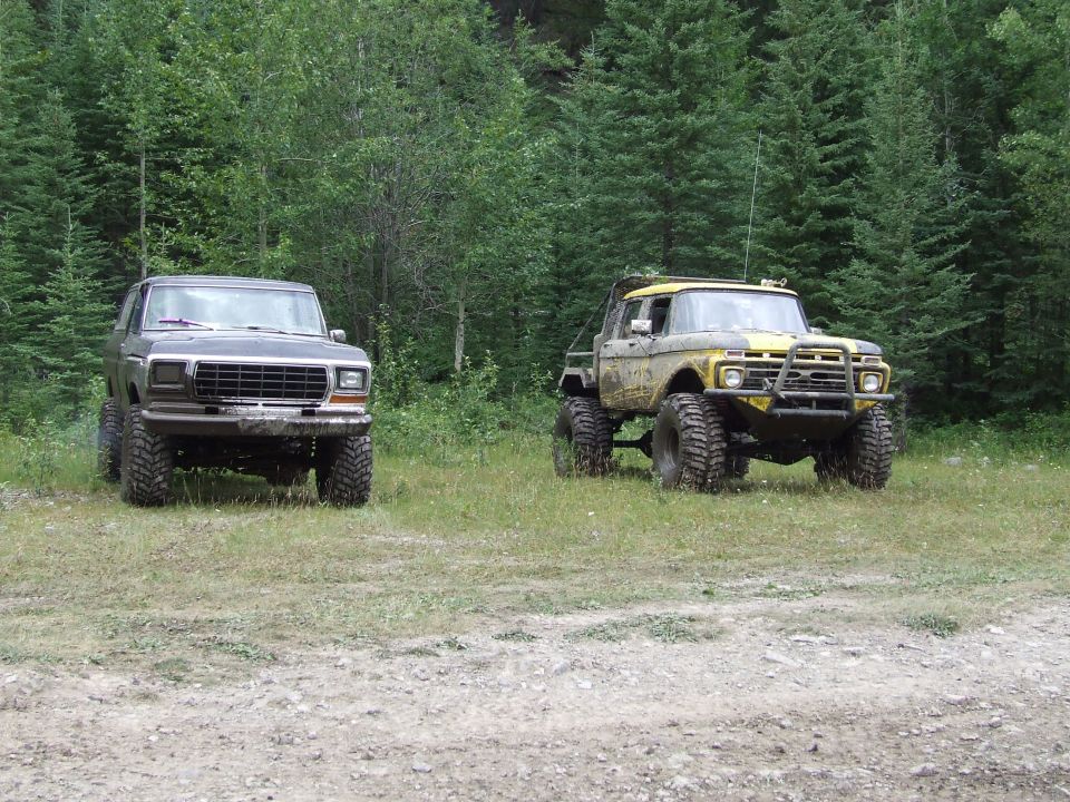 Dark green 1979 Ford Bronco and yellow lifted Ford F-series truck parked in grassy area with trees behind