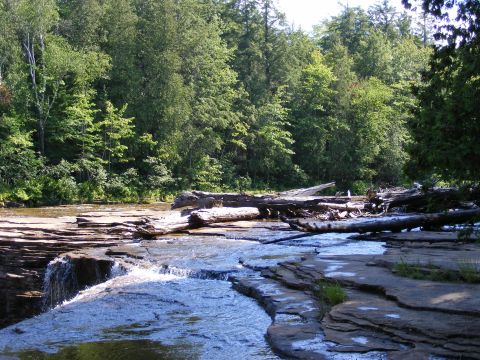 1990 Ford Bronco - A scenic view of a waterfall cascading over rocks, with fallen logs and lush green trees in the background.