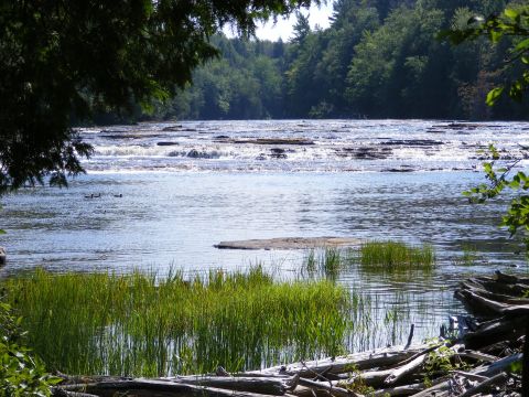1990 Ford Bronco - River rapids flow over rocks with trees and logs visible. Watermark present in the lower right corner.
