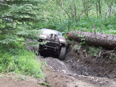 1990 Ford Bronco - A 1990 Ford Bronco tackles a challenging muddy trail, with a large fallen tree creating an obstacle.