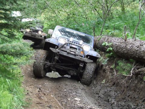 1990 Ford Bronco - Two Jeep Wranglers tackle a challenging muddy off-road trail with a large fallen tree obstructing the path.
