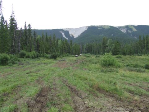 1990 Ford Bronco - Two SUVs navigate a muddy track through a forest clearing, with a mountain range visible in the distance.