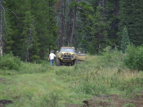1990 Ford Bronco - A yellow off-road vehicle is parked in a grassy area surrounded by trees.