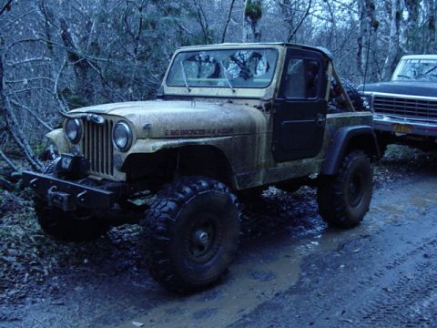 1989 Ford Bronco - Hips CJ7