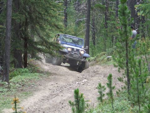 1990 Ford Bronco - A blue Jeep Wrangler navigates a steep, dusty trail through a dense pine forest.