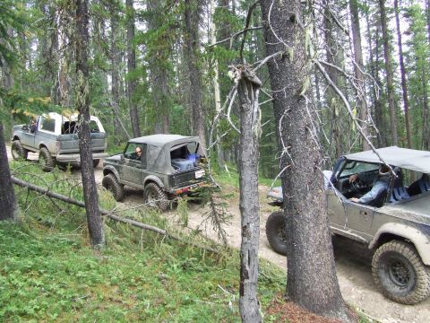 1990 Ford Bronco - Several off-road vehicles navigate a wooded trail during an outdoor event.