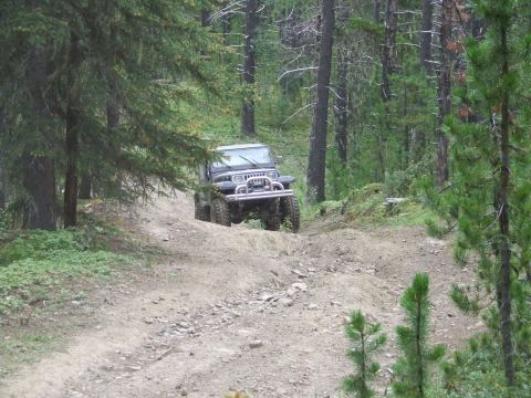 1990 Ford Bronco - A black Jeep Wrangler navigates a rough, wooded trail.
