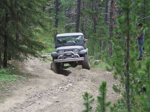 1990 Ford Bronco - A Jeep Wrangler drives off-road through a wooded area, with a person observing.