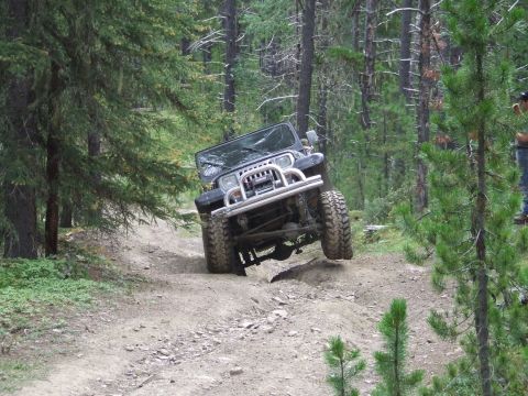 1990 Ford Bronco - A Jeep Wrangler navigates a challenging dirt path through a dense forest.