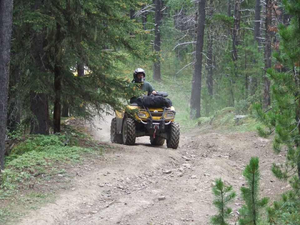 Yellow ATV with rider wearing a helmet on a dirt road in a forest