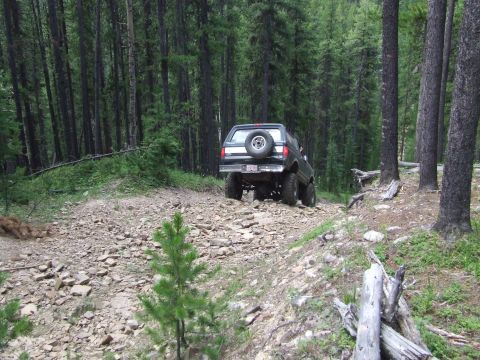 1990 Ford Bronco - A dark 1990 Ford Bronco navigates a rough, rocky path through a dense forest.