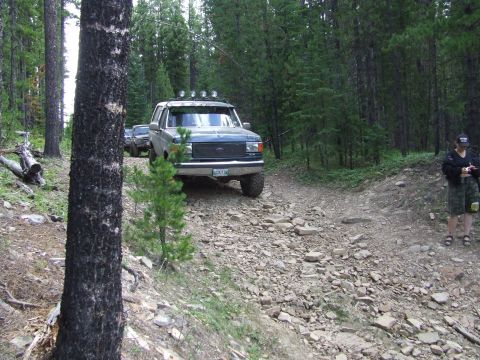 1990 Ford Bronco - A blue 1990 Ford Bronco navigates a rough, rocky path through a dense forest during a rally.