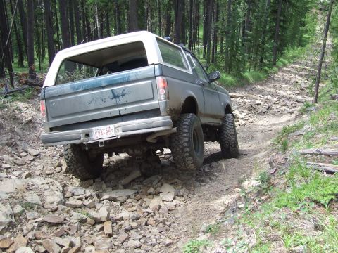 1990 Ford Bronco - A gray Ford Bronco navigates a challenging, rocky trail through a dense forest.