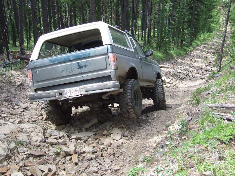 Gray Ford Bronco with a white top on a rocky, wooded trail. The rear of the vehicle is visible