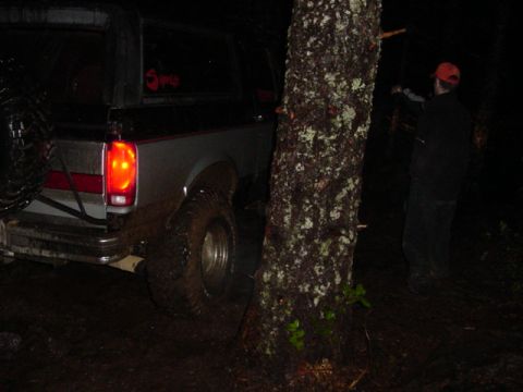 1989 Ford Bronco - And around the tree