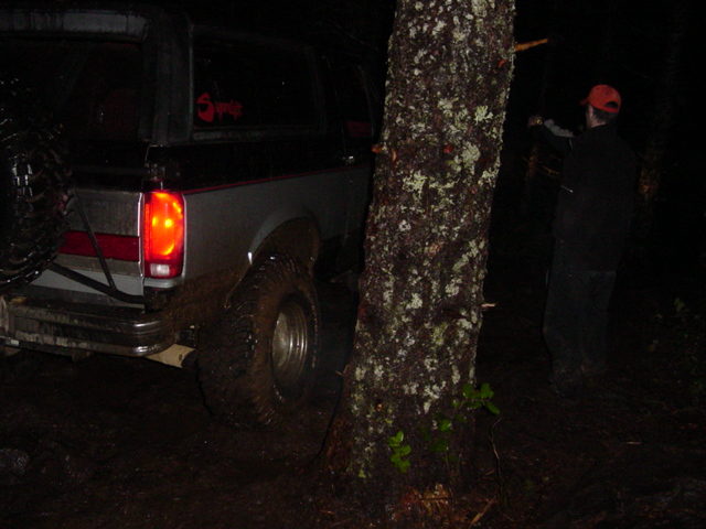 And around the tree