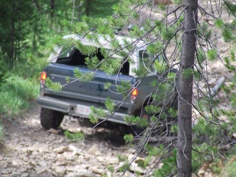1990 Ford Bronco - A 1990 Ford Bronco navigates a rocky off-road path, partially obscured by pine branches.