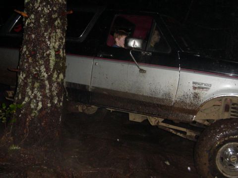 1989 Ford Bronco - And by the tree again
