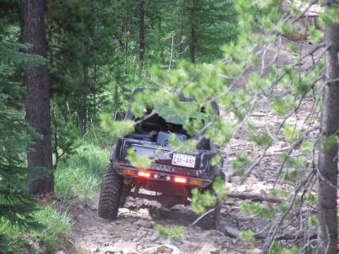 1990 Ford Bronco - Off-road vehicle navigates a challenging rocky path through a dense forest.