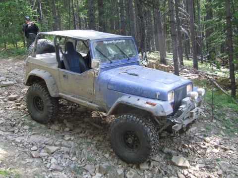 1990 Ford Bronco - This off-road vehicle navigates a rocky trail through a dense forest.