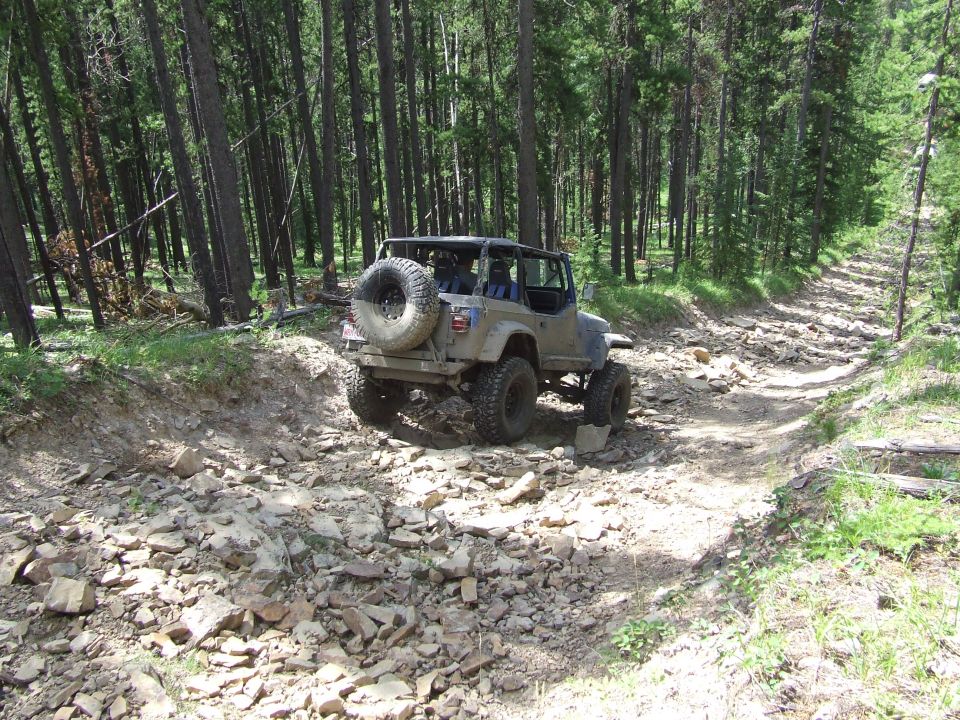 Jeep Wrangler driving on a rocky trail through a forest