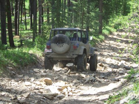 1990 Ford Bronco - A Jeep Wrangler navigates a challenging rocky path through a dense forest.