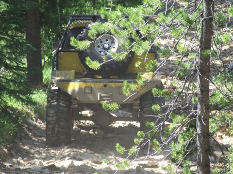 1990 Ford Bronco - A yellow off-road vehicle navigates a rocky trail, its rear and spare tire visible through pine branches.