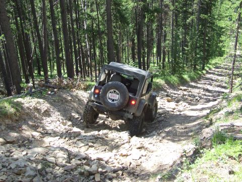 1990 Ford Bronco - A black Jeep Wrangler navigates a challenging, rocky path through a dense forest.