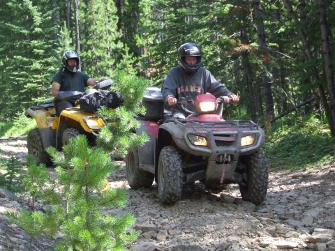 1990 Ford Bronco - Two ATVs navigate a rough, rocky path in a wooded area with dense trees.